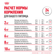Royal Canin Mini Ageing 12+ корм влажный полнорационный для стареющих собак мелких размеров (весом от 1 до 10 кг) в возрасте старше 12 лет, кусочки в соусе