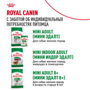 Royal Canin Mini Ageing 12+ корм влажный полнорационный для стареющих собак мелких размеров (весом от 1 до 10 кг) в возрасте старше 12 лет, кусочки в соусе