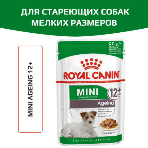 Royal Canin Mini Ageing 12+ корм влажный полнорационный для стареющих собак мелких размеров (весом от 1 до 10 кг) в возрасте старше 12 лет, кусочки в соусе