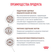 Royal Canin Gastrointestinal Moderate Calorie корм влажный для кошек, склонных к набору веса, при расстройствах пищеварения