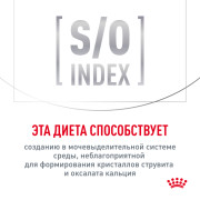Royal Canin Gastrointestinal Moderate Calorie корм влажный для кошек, склонных к набору веса, при расстройствах пищеварения