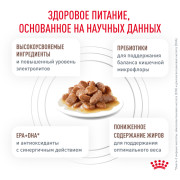 Royal Canin Gastrointestinal Moderate Calorie корм влажный для кошек, склонных к набору веса, при расстройствах пищеварения