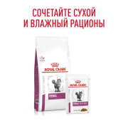 Royal Canin Renal with beef корм влажный для кошек для поддержания функции почек