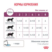 Renal with chicken корм влажный для кошек для поддержания функции почек с курицей