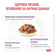 Royal Canin Renal with fish корм влажный для кошек для поддержания функции почек с рыбой