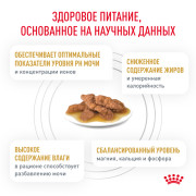 Royal Canin Urinary S/O корм влажный для кошек при мочекаменной болезни