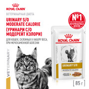 Royal Canin Urinary S/O Moderate Calorie корм влажный для кошек, склонных к набору веса, при мочекаменной болезни
