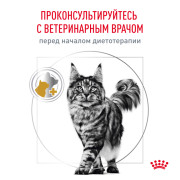 Royal Canin Urinary S/O Moderate Calorie корм влажный для кошек, склонных к набору веса, при мочекаменной болезни
