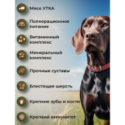 Frais SIGNATURE PLUS+ PROBIOTIC COMPLEX сухой корм для взрослых собак средних и крупных пород, с мясом утки