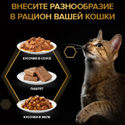 Влажный корм Pro Plan Sterilised MAINTENANCE для взрослых стерилизованных кошек, паштет с говядиной