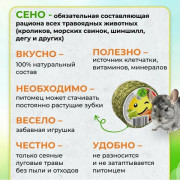 Зверьё моё Сено луговое с яблоком и морковью таблеронн наполнитель, гигиеническая подстилка, лакомство для домашних животных