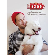 ЗООГУРМАН BIG DOG консервы для собак телятина с овощами, 850гр