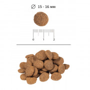 BLitz Sensitive Turkey & Barley Adult Dog All Breeds корм сухой для взрослых собак всех пород с индейкой и ячменем