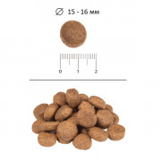 Blitz Classic Chicken & Rice Adult Dog All Breeds корм сухой для собак всех пород с курицей и рисом