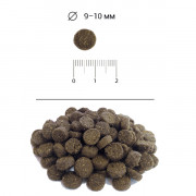 Blitz Sensitive Lamb & Rice Adult Dog Small Breeds корм сухой для собак мелких пород с ягнёнком и рисом