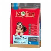 Molina Junior Maxi для щенков крупных пород