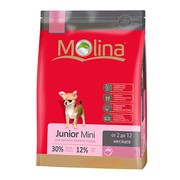 Molina Junior Mini для щенков мелких пород