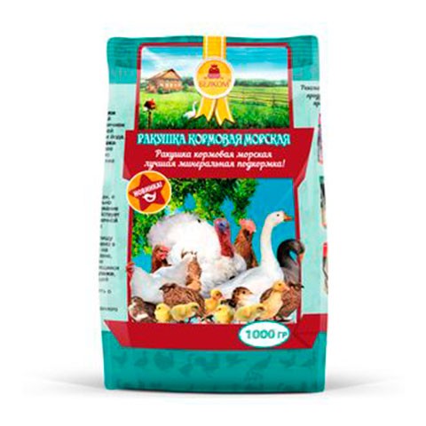 Ракушка кормовая морская