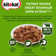 Kitekat корм консервированный для кошек сочная говядина в желе