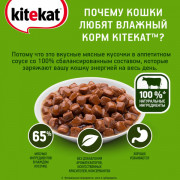 Kitekat корм консервированный для кошек сочная говядина в соусе