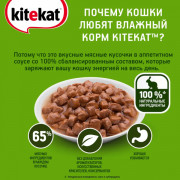 Kitekat корм консервированный для кошек нежный кролик в соусе