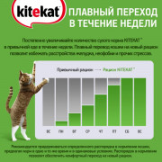 Kitekat корм консервированный для кошек нежный кролик в соусе