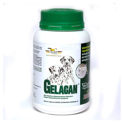 Gelacan Бейби