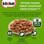 Kitekat корм консервированный для аппетитная курочка в соусе