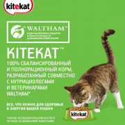 Kitekat корм сухой для кошек мясной пир