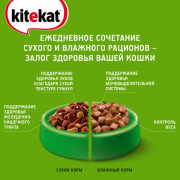 Kitekat корм сухой для кошек телятинка аппетитная