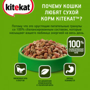 Kitekat корм сухой для кошек телятинка аппетитная