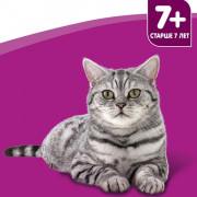 Whiskas корм консервированный для кошек старше 7 лет рагу с ягненком