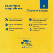 RIO Стартовый набор владельца волнистого попугайчика