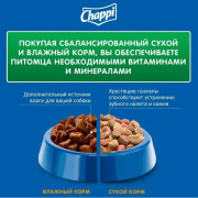 Chappi корм сухой для взрослых собак, Мясное изобилие с овощами и травами