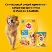 Pedigree Оптимальное пищеварение с говядиной Корм сухой для взрослых собак