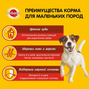Pedigree Жизненная энергия с говядиной Корм сухой для взрослых собак мелких пород