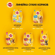 Pedigree Жизненная энергия с говядиной Корм сухой для взрослых собак мелких пород