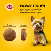 Pedigree Здоровье кожи и шерсти с говядиной Корм сухой для взрослых собак миниатюрных пород