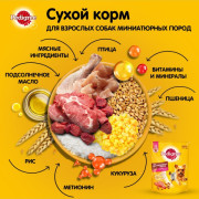 Pedigree Здоровье кожи и шерсти с говядиной Корм сухой для взрослых собак миниатюрных пород