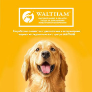 Pedigree Здоровый рост с курицей Корм сухой для щенков всех пород