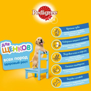 Pedigree Здоровый рост с курицей Корм сухой для щенков всех пород