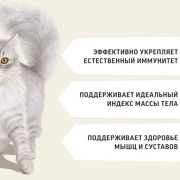 Деревенские лакомства сухой корм для кошек для поддержки иммунитета, говядина