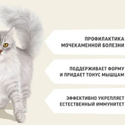 Деревенские лакомства сухой корм для стерилизованных и кастрированных кошек, утка