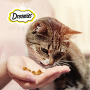 DREAMIES лакомство для кошек подушечки с лососем