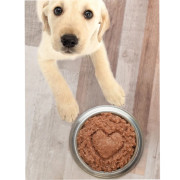 ЗООГУРМАН BIG DOG консервы для щенков говядина, 850гр