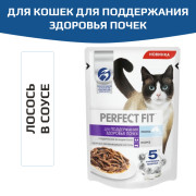 PERFECT FIT корм консервированный для кошек, для поддержания здоровья почек, с лососем в соусе