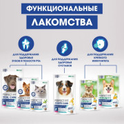 PERFECT FIT Oral Care лакомство для здоровья зубов и полости рта с говядиной и добавлением мяты для собак крупных и средних пород