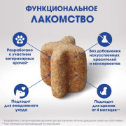 PERFECT FIT Oral Care лакомство для здоровья зубов и полости рта с говядиной и добавлением мяты для собак крупных и средних пород