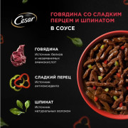 Cesar корм консервированный для взрослых собак говядина со сладким перцем и шпинатом в соусе