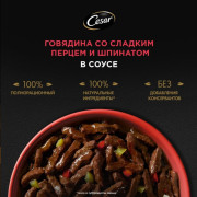 Cesar корм консервированный для взрослых собак говядина со сладким перцем и шпинатом в соусе